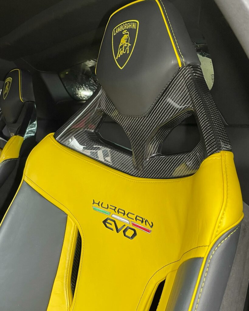 luxury car interior protection
